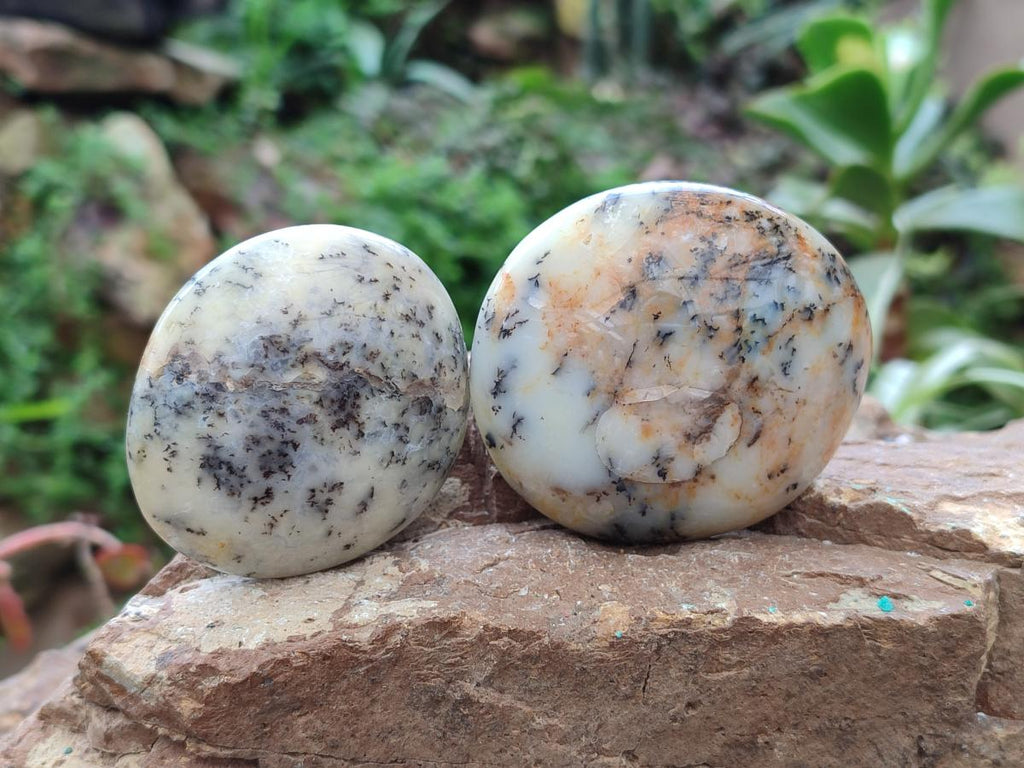 Polished Dendritic Agate Galets x 12 From Moralambo, Madagascar - Toprock Gemstones and Minerals 