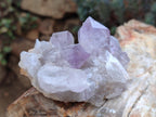 Natural Small Jacaranda Amethyst Clusters x 12 From Mumbwa, Zambia - Toprock Gemstones and Minerals 