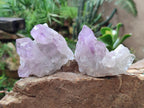 Natural Small Jacaranda Amethyst Clusters x 12 From Mumbwa, Zambia - Toprock Gemstones and Minerals 