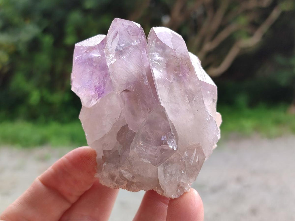 Natural Small Jacaranda Amethyst Clusters x 12 From Mumbwa, Zambia - Toprock Gemstones and Minerals 
