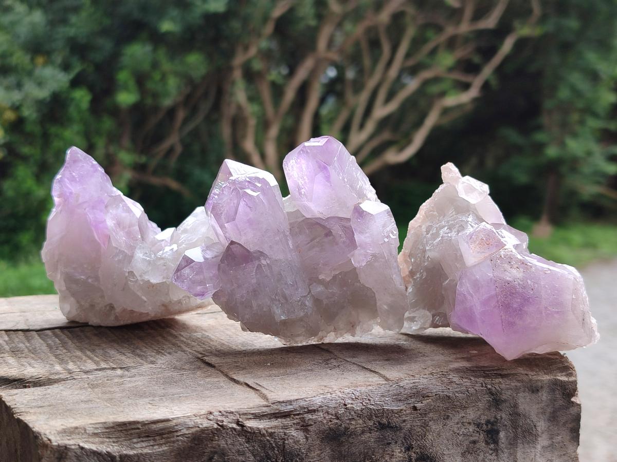 Natural Small Jacaranda Amethyst Clusters x 12 From Mumbwa, Zambia - Toprock Gemstones and Minerals 