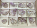 Natural Small Jacaranda Amethyst Clusters x 12 From Mumbwa, Zambia - Toprock Gemstones and Minerals 
