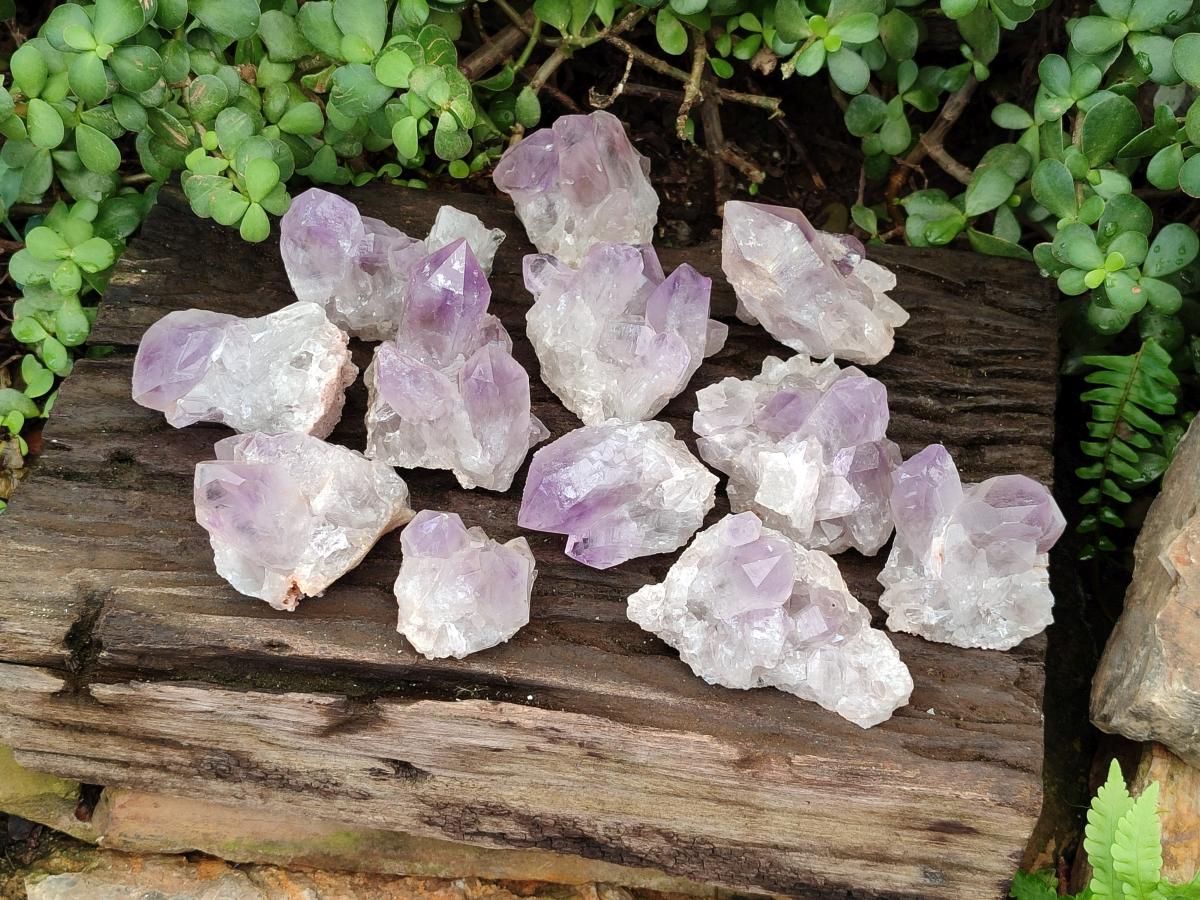 Natural Small Jacaranda Amethyst Clusters x 12 From Mumbwa, Zambia - Toprock Gemstones and Minerals 