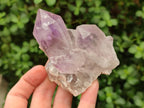 Natural Small Jacaranda Amethyst Clusters x 12 From Mumbwa, Zambia - Toprock Gemstones and Minerals 