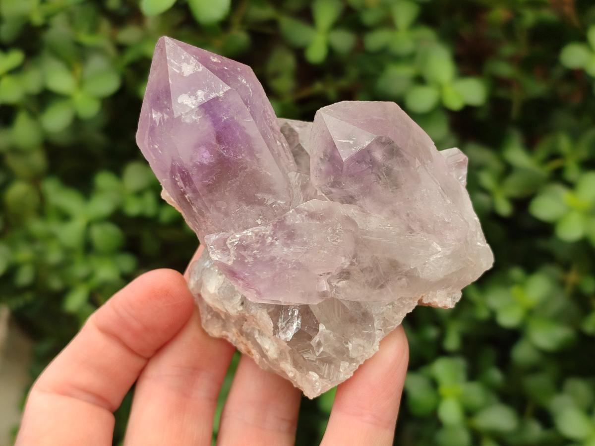 Natural Small Jacaranda Amethyst Clusters x 12 From Mumbwa, Zambia - Toprock Gemstones and Minerals 