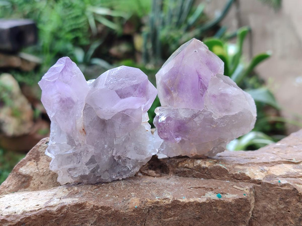 Natural Small Jacaranda Amethyst Clusters x 12 From Mumbwa, Zambia - Toprock Gemstones and Minerals 