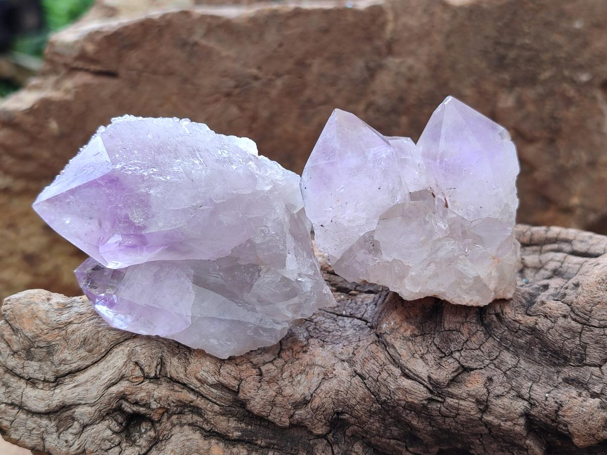 Natural Small Jacaranda Amethyst Clusters x 12 From Mumbwa, Zambia - Toprock Gemstones and Minerals 