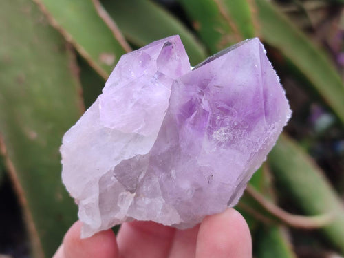 Natural Small Jacaranda Amethyst Clusters x 12 From Mumbwa, Zambia - Toprock Gemstones and Minerals 