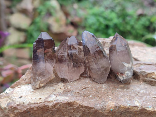 Natural Smokey Quartz Crystals x 70 From Zomba Plateau, Malawi - Toprock Gemstones and Minerals 
