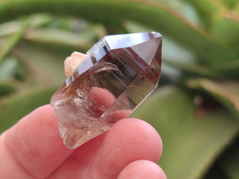 Natural Smokey Quartz Crystals x 70 From Zomba Plateau, Malawi - Toprock Gemstones and Minerals 