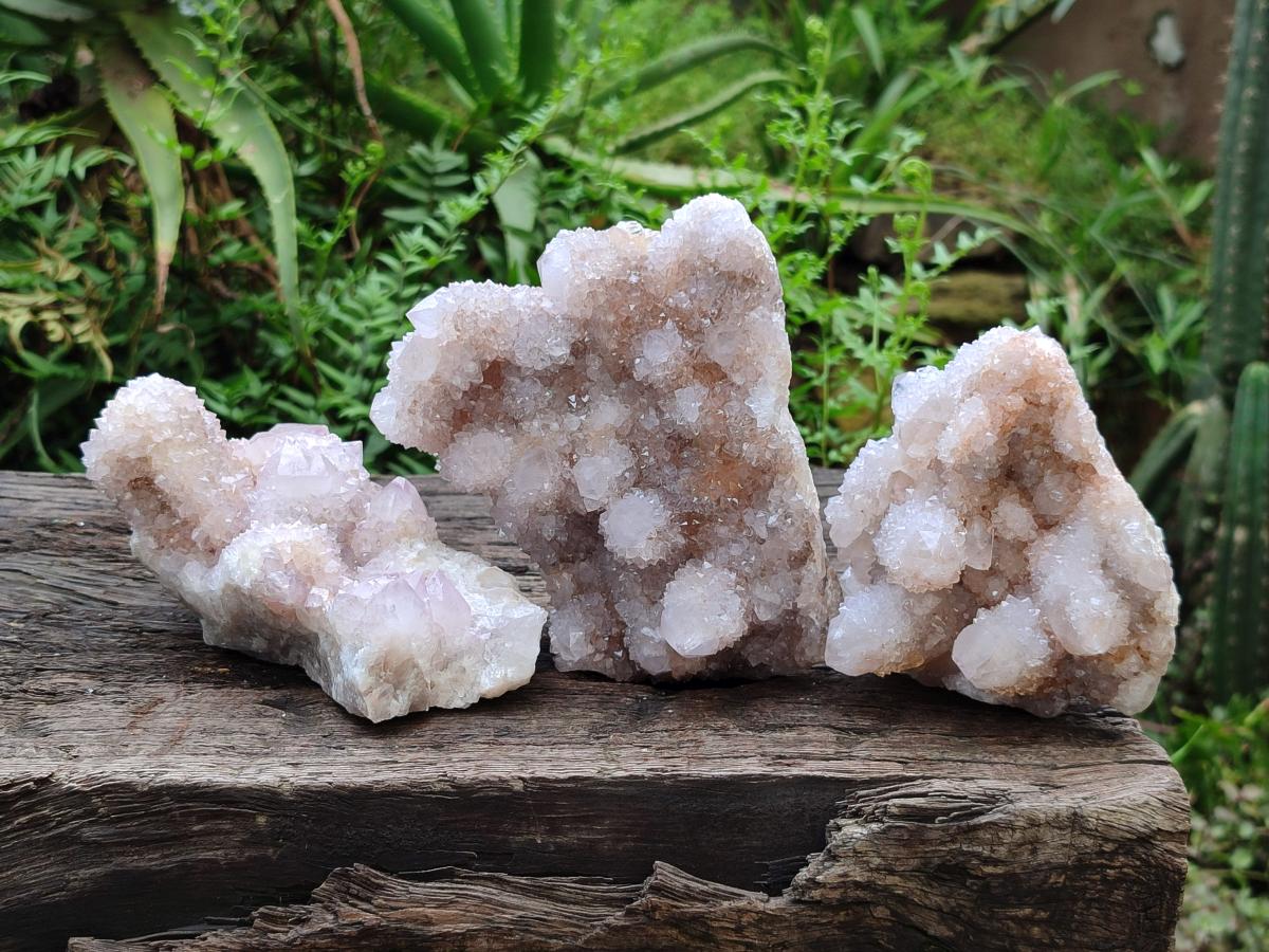Natural Lilac Amethyst Spirit Quartz Clusters x 3 From Boekenhouthoek, South Africa - Toprock Gemstones and Minerals 