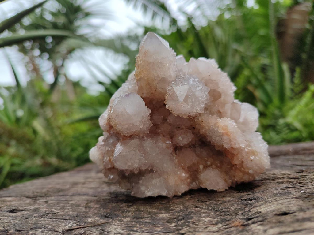 Natural Lilac Amethyst Spirit Quartz Clusters x 3 From Boekenhouthoek, South Africa - Toprock Gemstones and Minerals 