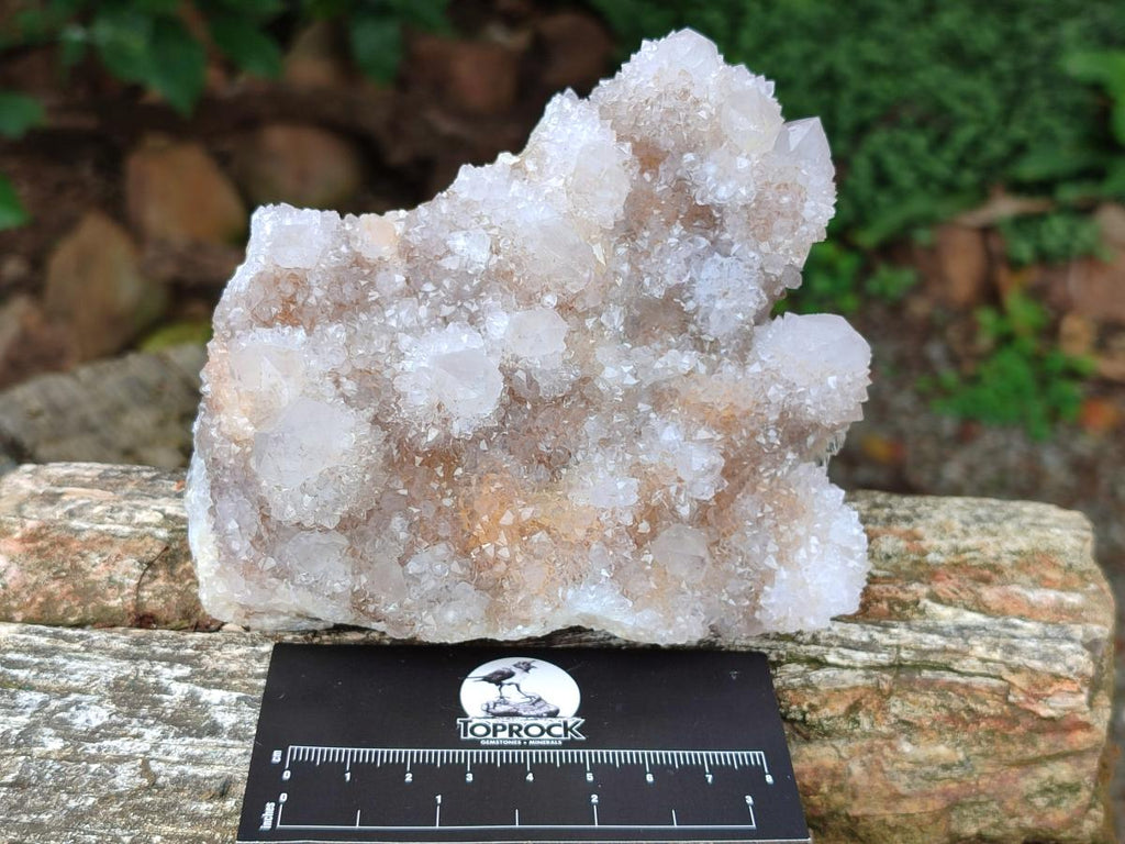 Natural Lilac Amethyst Spirit Quartz Clusters x 3 From Boekenhouthoek, South Africa - Toprock Gemstones and Minerals 