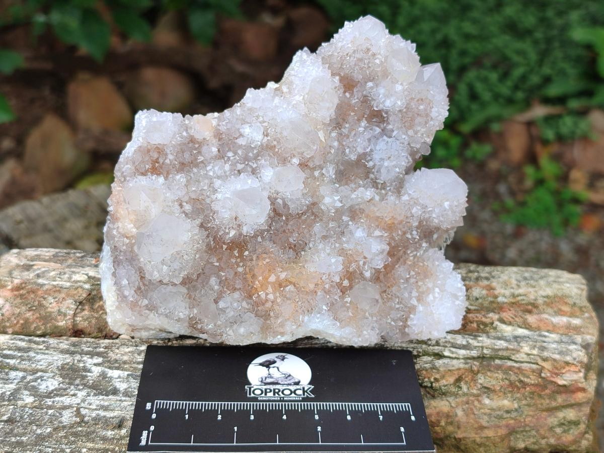 Natural Lilac Amethyst Spirit Quartz Clusters x 3 From Boekenhouthoek, South Africa - Toprock Gemstones and Minerals 