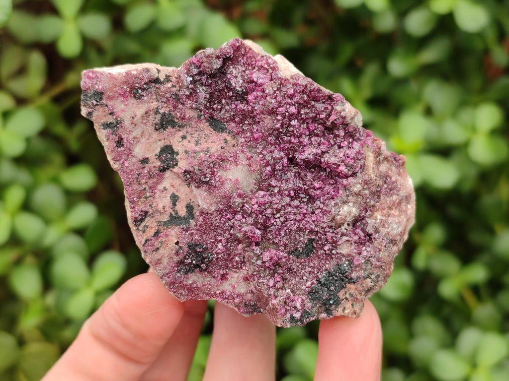 Natural Salrose Cobaltoan Dolomite Specimens x 6 From Kakanda, Congo - Toprock Gemstones and Minerals 