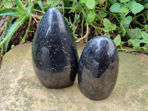 Polished Black Tourmaline Standing Free Forms x 2 From Madagascar - Toprock Gemstones and Minerals 