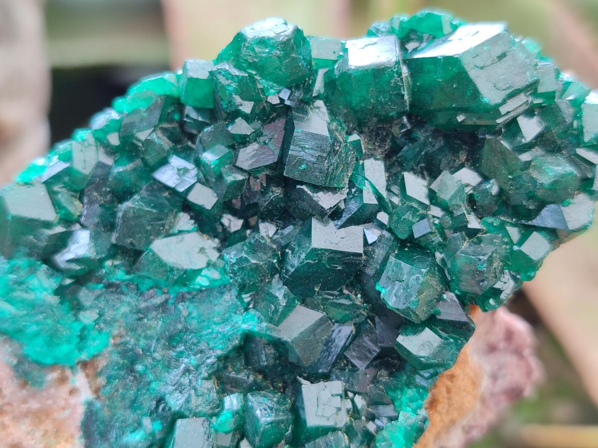 Natural Dioptase on Dolomite Specimens x 6 From Likasi, Congo - Toprock Gemstones and Minerals 