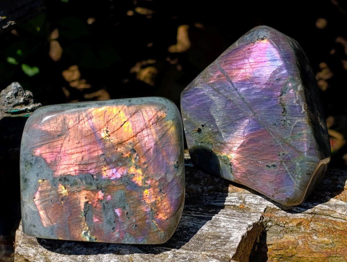 Polished Rare Purple Sunset Flash Labradorite Standing Free Forms x 2 From Madagascar - Toprock Gemstones and Minerals 