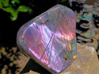 Polished Rare Purple Sunset Flash Labradorite Standing Free Forms x 2 From Madagascar - Toprock Gemstones and Minerals 