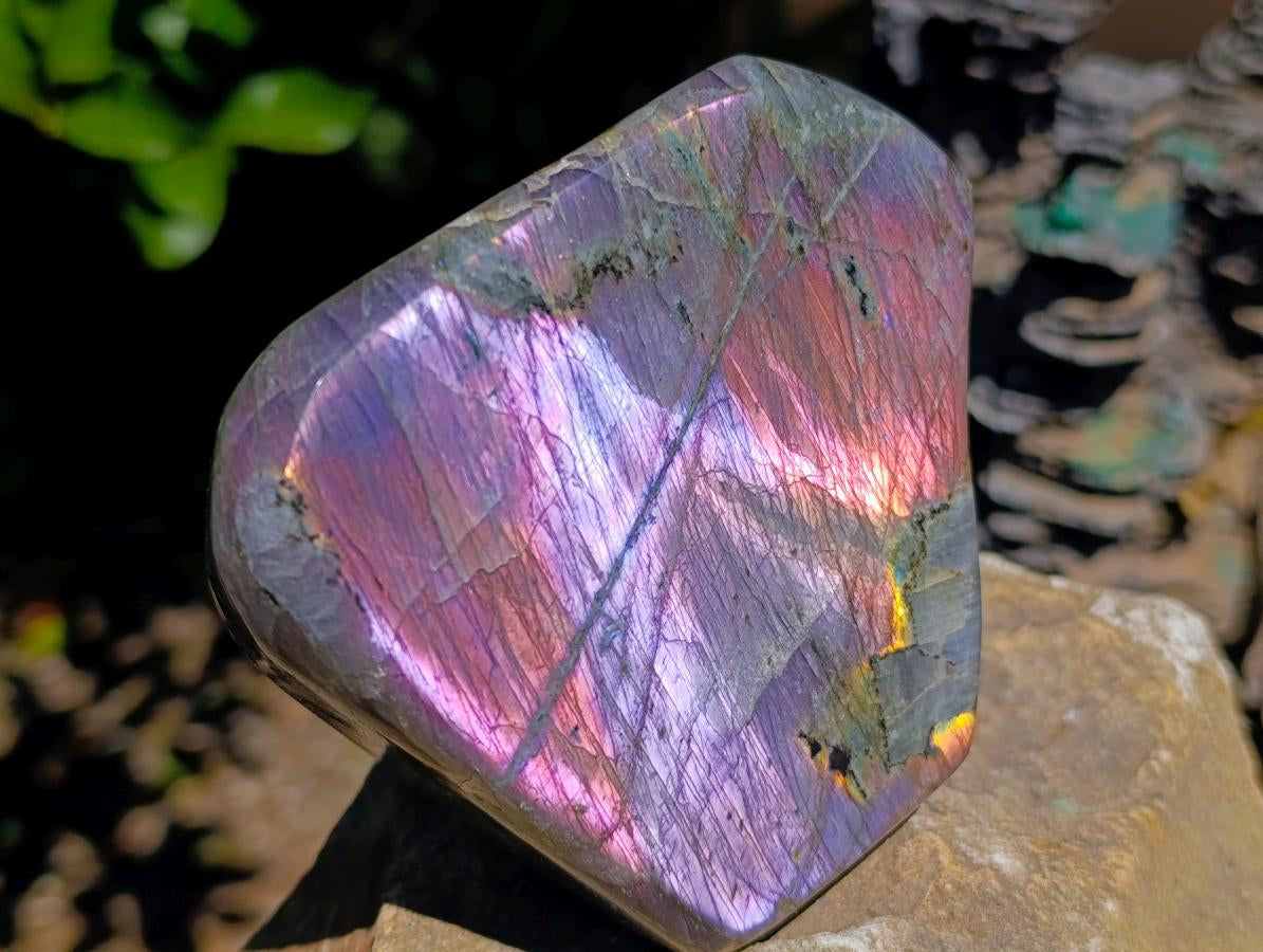 Polished Rare Purple Sunset Flash Labradorite Standing Free Forms x 2 From Madagascar - Toprock Gemstones and Minerals 