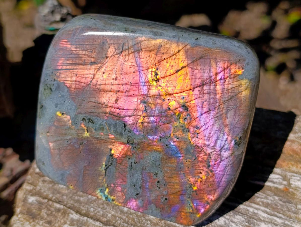 Polished Rare Purple Sunset Flash Labradorite Standing Free Forms x 2 From Madagascar - Toprock Gemstones and Minerals 