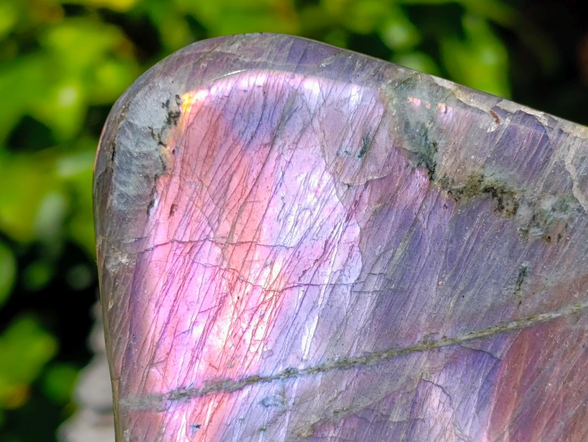 Polished Rare Purple Sunset Flash Labradorite Standing Free Forms x 2 From Madagascar - Toprock Gemstones and Minerals 