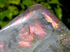 Polished Rare Purple Sunset Flash Labradorite Standing Free Forms x 2 From Madagascar - Toprock Gemstones and Minerals 