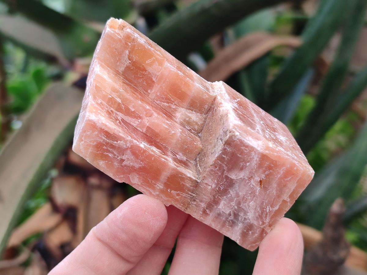 Natural Rhombohedral Sunset Orange Calcite Specimens x 24 From Spitzkop, Namibia - Toprock Gemstones and Minerals 