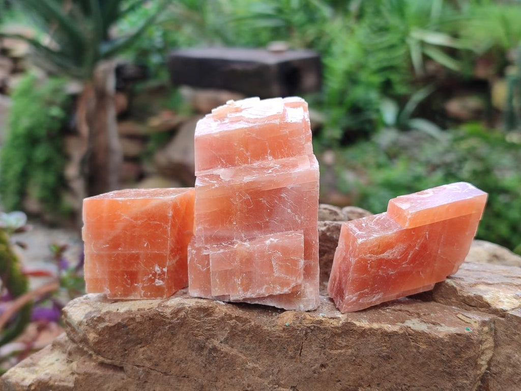 Natural Rhombohedral Sunset Orange Calcite Specimens x 24 From Spitzkop, Namibia - Toprock Gemstones and Minerals 