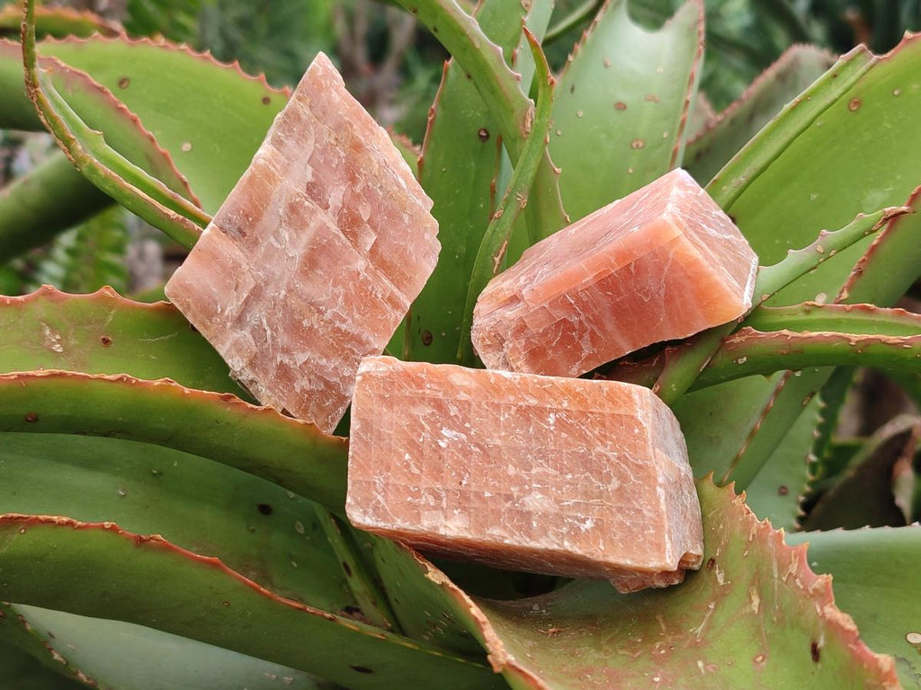 Natural Rhombohedral Sunset Orange Calcite Specimens x 24 From Spitzkop, Namibia - Toprock Gemstones and Minerals 