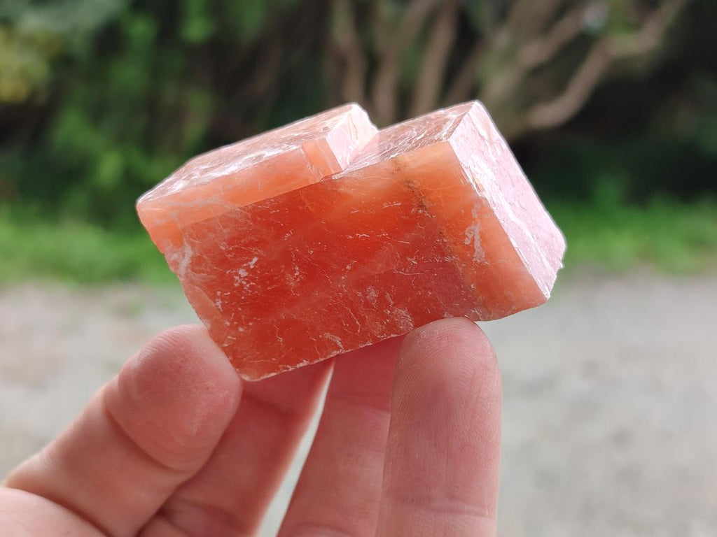 Natural Rhombohedral Sunset Orange Calcite Specimens x 24 From Spitzkop, Namibia - Toprock Gemstones and Minerals 