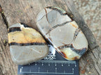 Polished Septerye Slices x 12 From Mahajanga, Madagascar - Toprock Gemstones and Minerals 