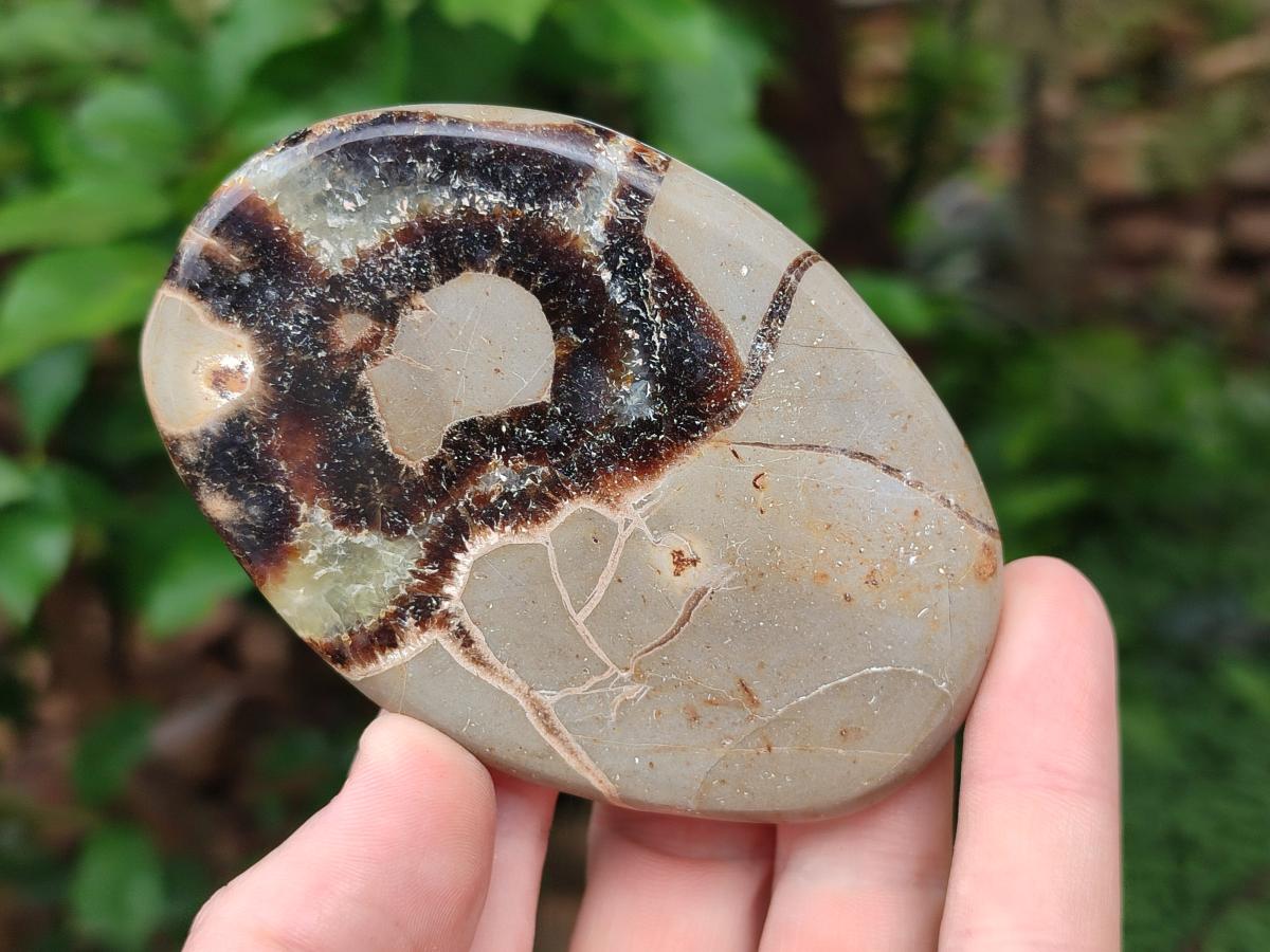 Polished Septerye Slices x 12 From Mahajanga, Madagascar - Toprock Gemstones and Minerals 