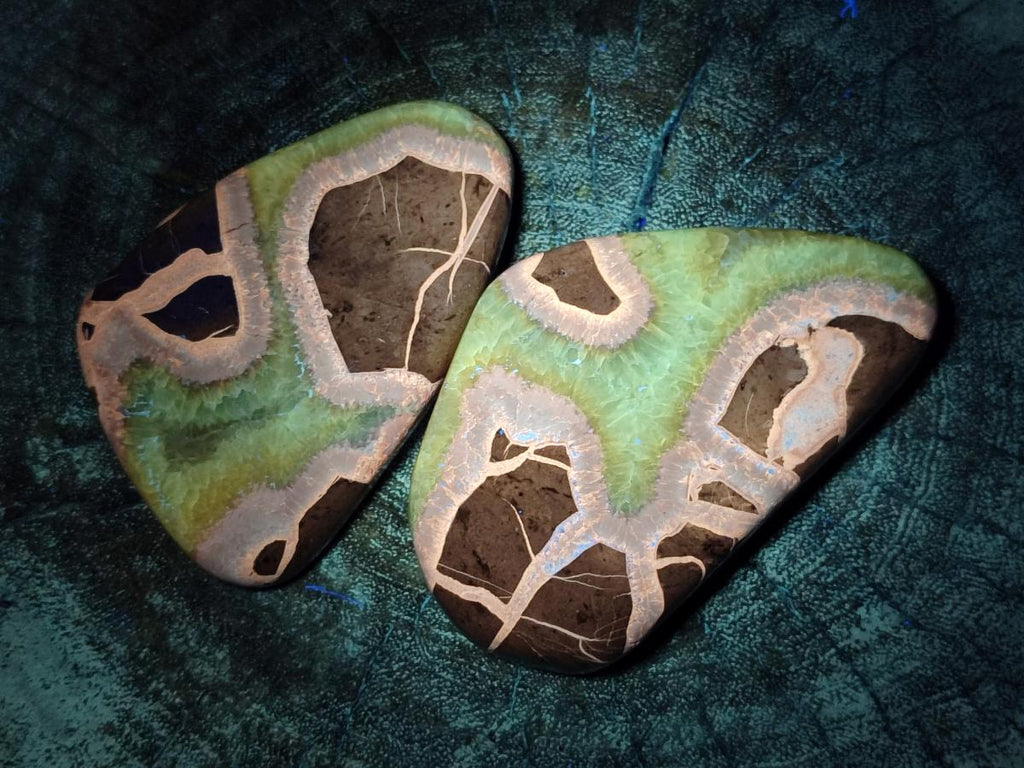 Polished Septerye Slices x 12 From Mahajanga, Madagascar - Toprock Gemstones and Minerals 