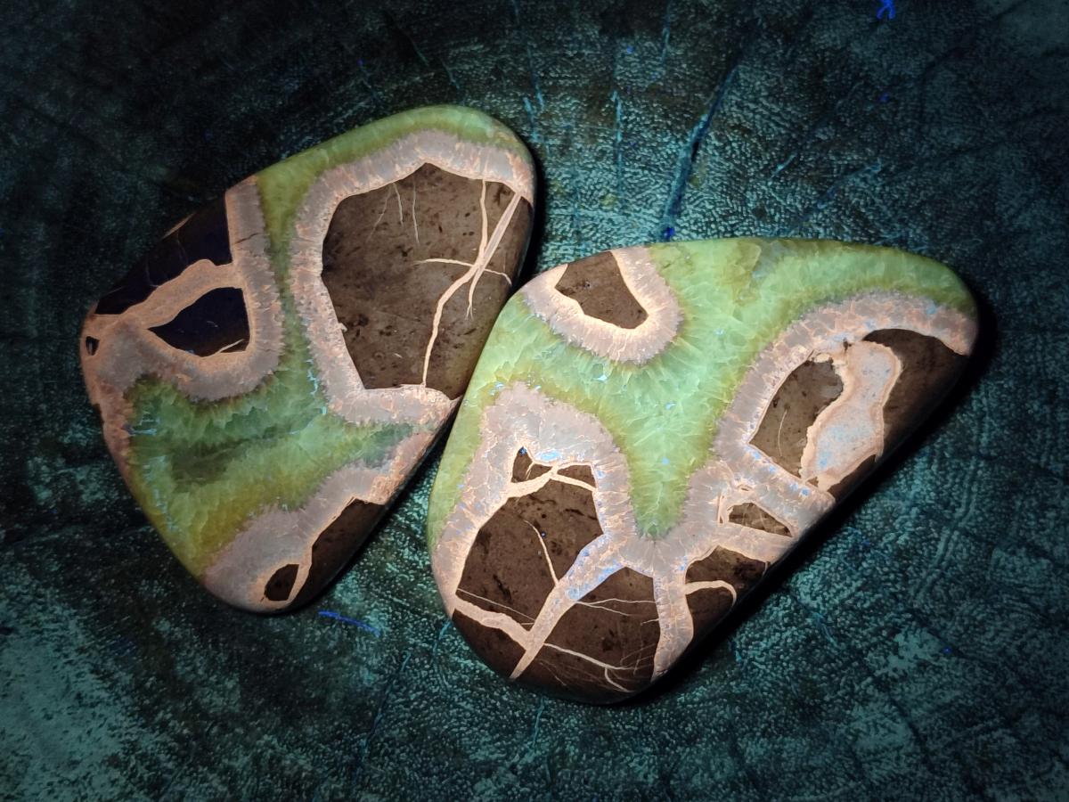 Polished Septerye Slices x 12 From Mahajanga, Madagascar - Toprock Gemstones and Minerals 