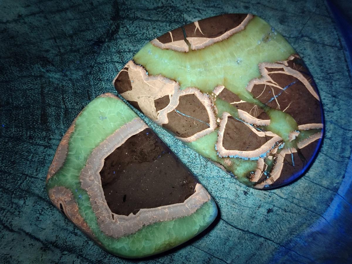 Polished Septerye Slices x 12 From Mahajanga, Madagascar - Toprock Gemstones and Minerals 