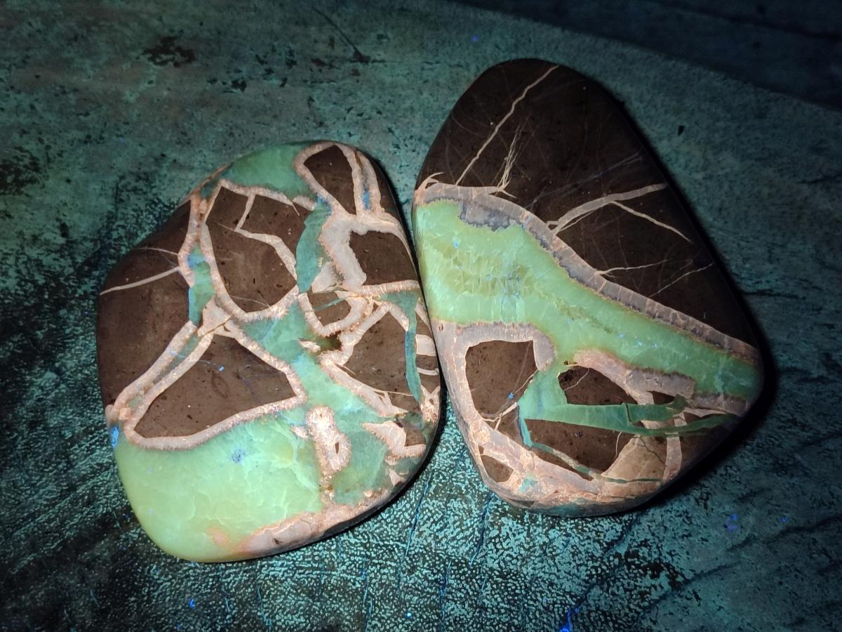 Polished Septerye Slices x 12 From Mahajanga, Madagascar - Toprock Gemstones and Minerals 