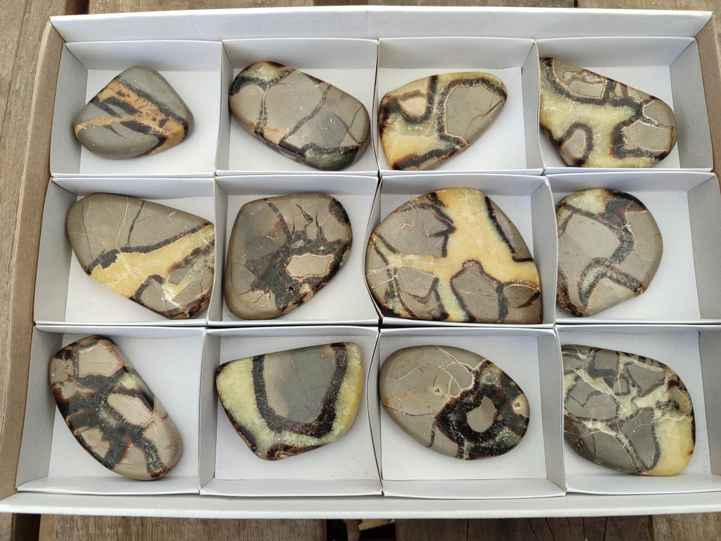 Polished Septerye Slices x 12 From Mahajanga, Madagascar - Toprock Gemstones and Minerals 