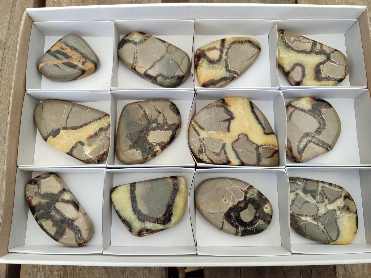 Polished Septerye Slices x 12 From Mahajanga, Madagascar - Toprock Gemstones and Minerals 