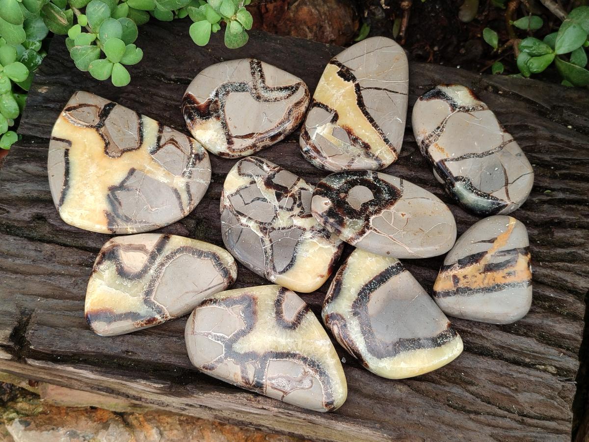 Polished Septerye Slices x 12 From Mahajanga, Madagascar - Toprock Gemstones and Minerals 