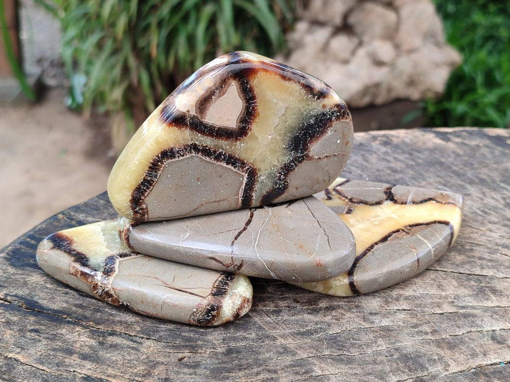 Polished Septerye Slices x 12 From Mahajanga, Madagascar - Toprock Gemstones and Minerals 