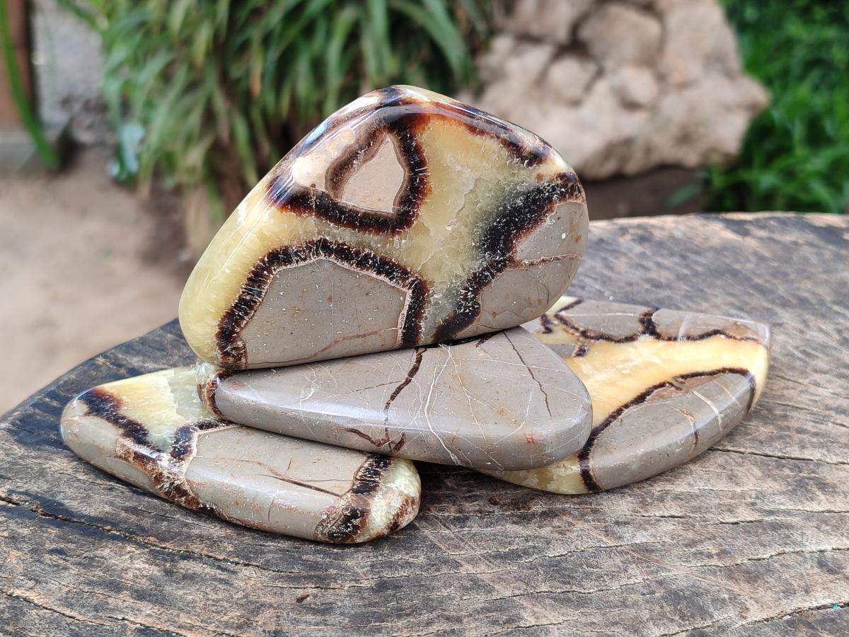 Polished Septerye Slices x 12 From Mahajanga, Madagascar - Toprock Gemstones and Minerals 