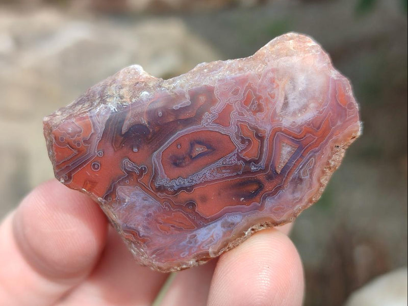 Polished One Side Red Shashe River Agate Nodules x 35 From Shashe River, Zimbabwe - Toprock Gemstones and Minerals 
