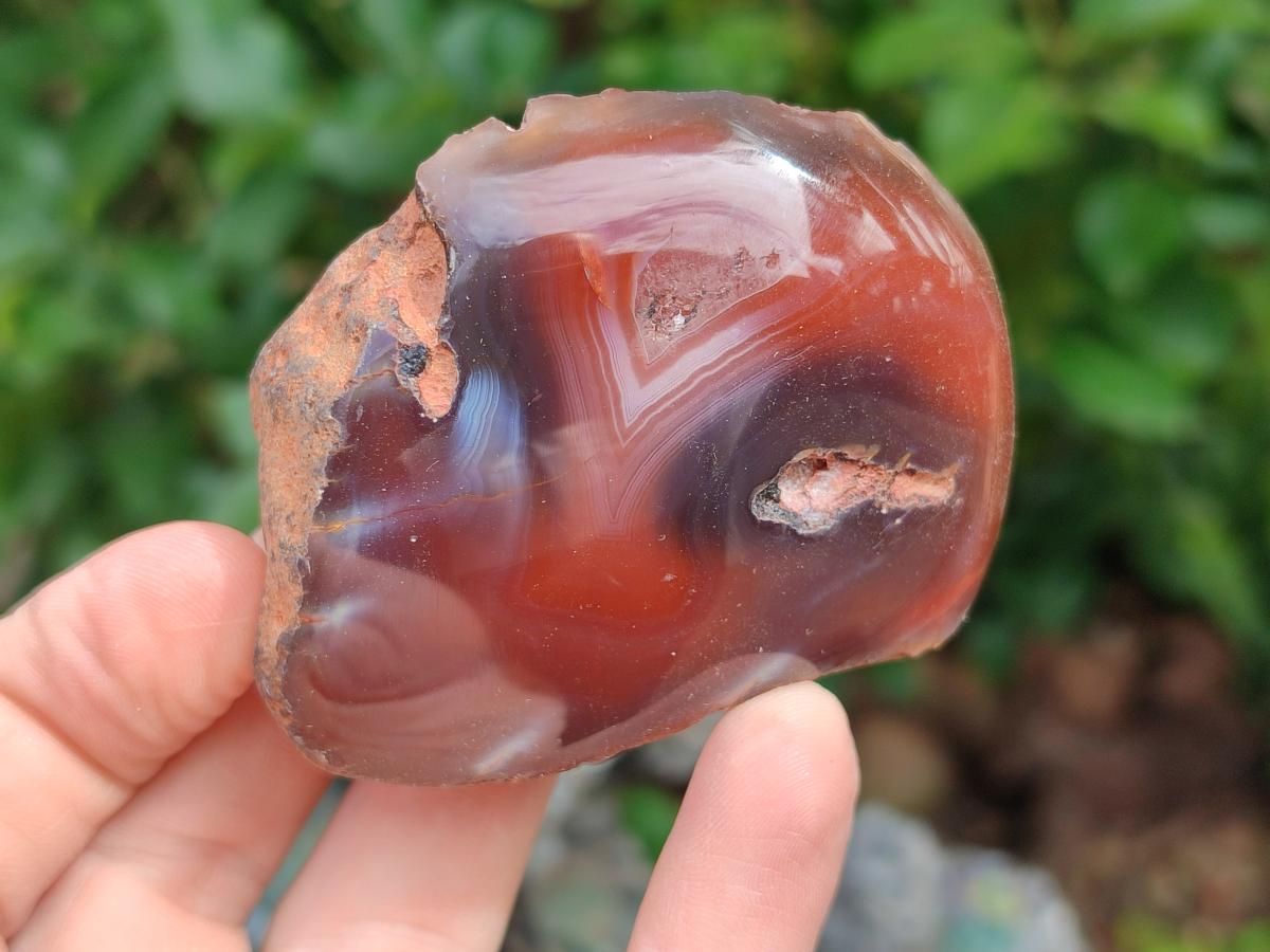 Polished One Side Red Shashe River Agate Nodules x 35 From Shashe River, Zimbabwe - Toprock Gemstones and Minerals 
