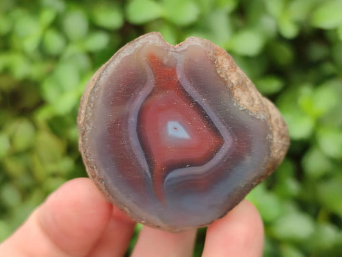 Polished One Side Red Shashe River Agate Nodules x 35 From Shashe River, Zimbabwe - Toprock Gemstones and Minerals 
