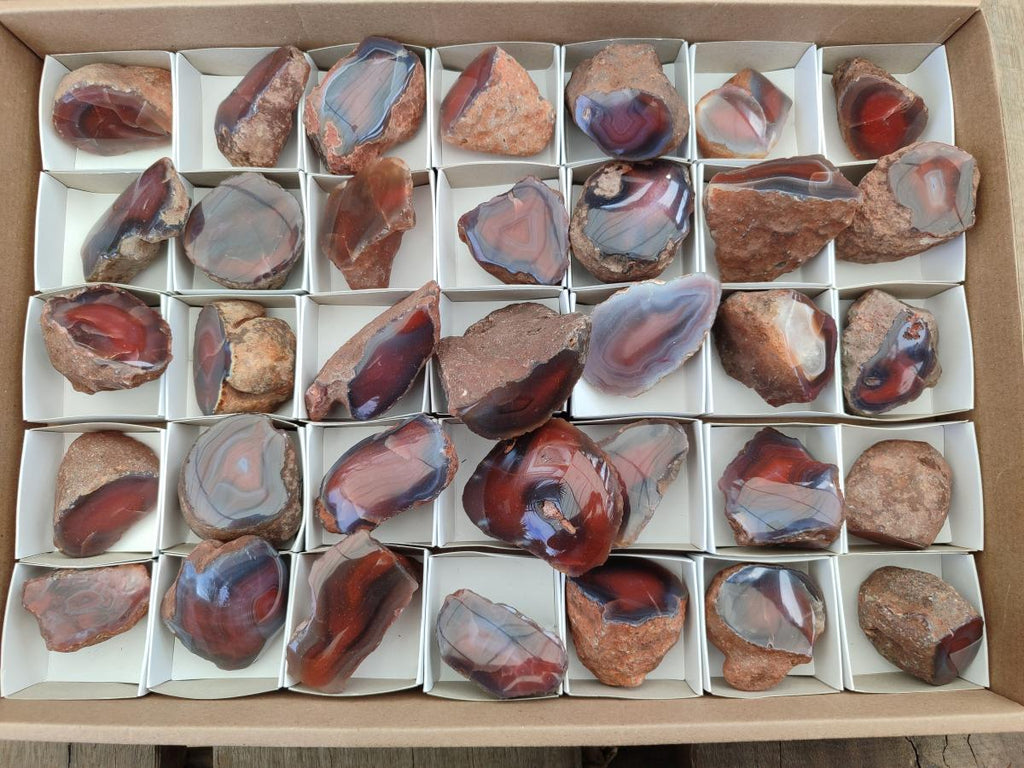 Polished One Side Red Shashe River Agate Nodules x 35 From Shashe River, Zimbabwe - Toprock Gemstones and Minerals 