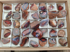 Polished One Side Red Shashe River Agate Nodules x 35 From Shashe River, Zimbabwe - Toprock Gemstones and Minerals 