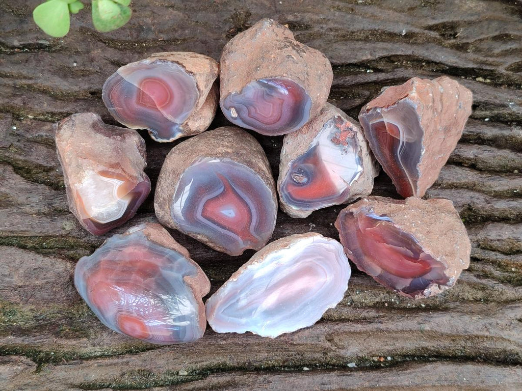 Polished One Side Red Shashe River Agate Nodules x 35 From Shashe River, Zimbabwe - Toprock Gemstones and Minerals 