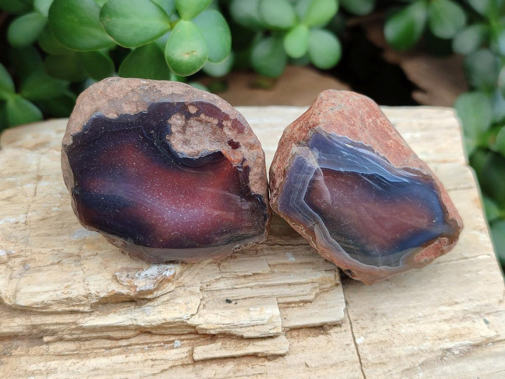 Polished One Side Red Shashe River Agate Nodules x 35 From Shashe River, Zimbabwe - Toprock Gemstones and Minerals 