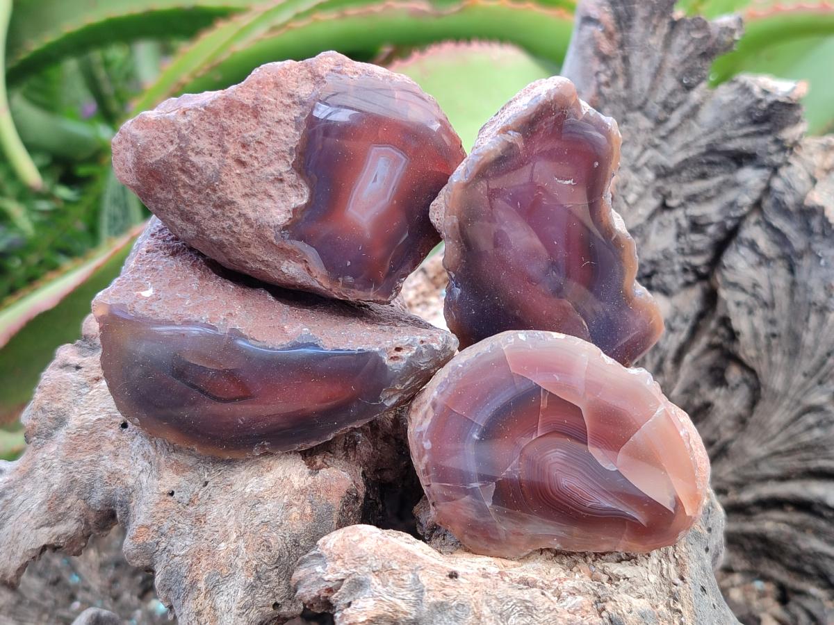 Polished One Side Red Shashe River Agate Nodules x 35 From Shashe River, Zimbabwe - Toprock Gemstones and Minerals 